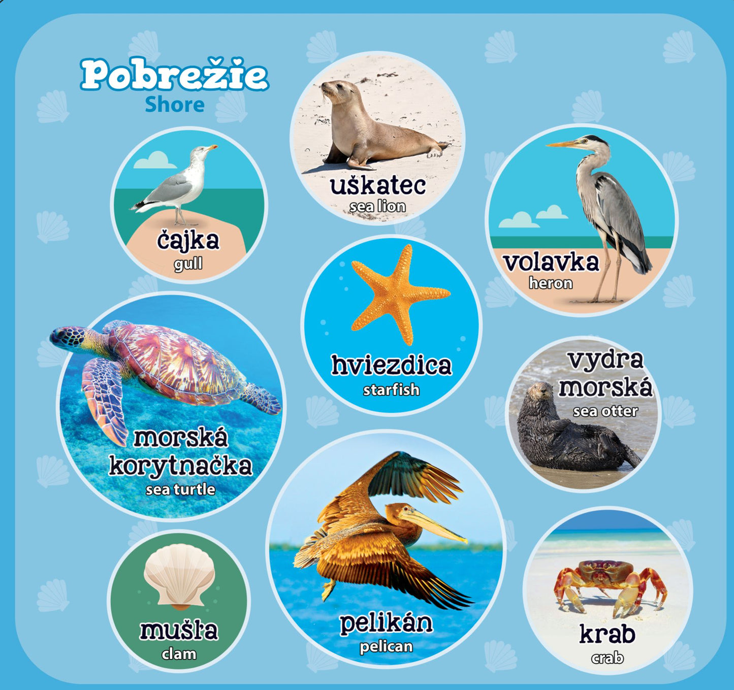 Mojich 100 zvieratiek